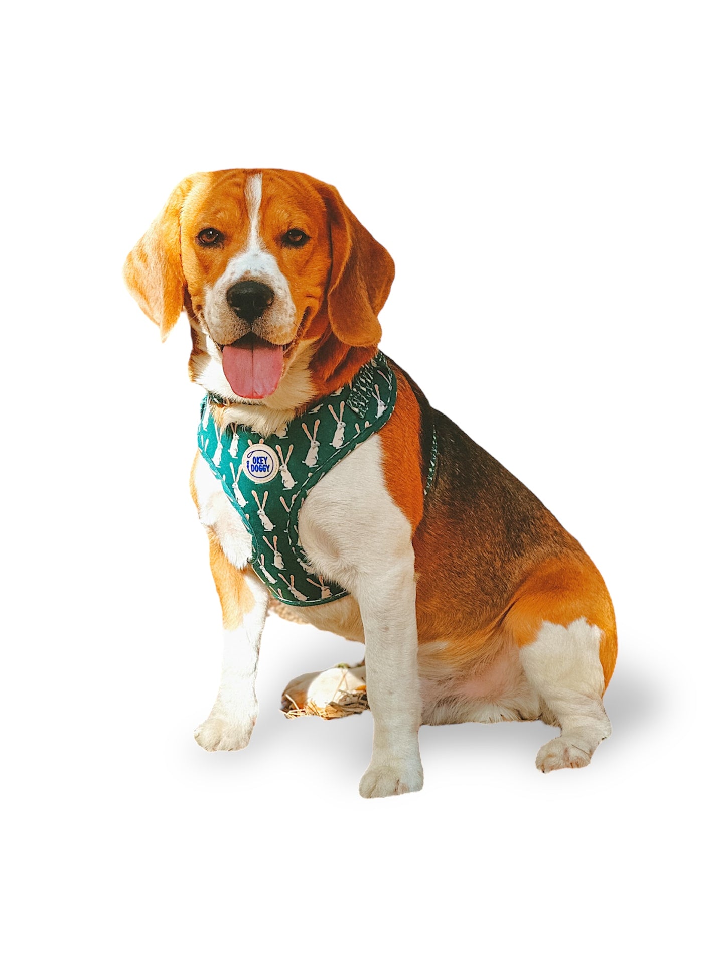 Green Rabbit Harness