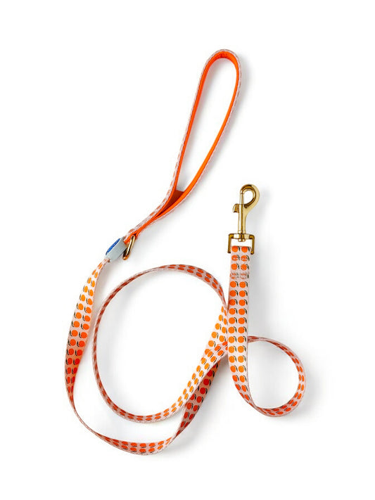 Orange Citrus dog leash with bright fruit print – 5ft polyester leash for dogs