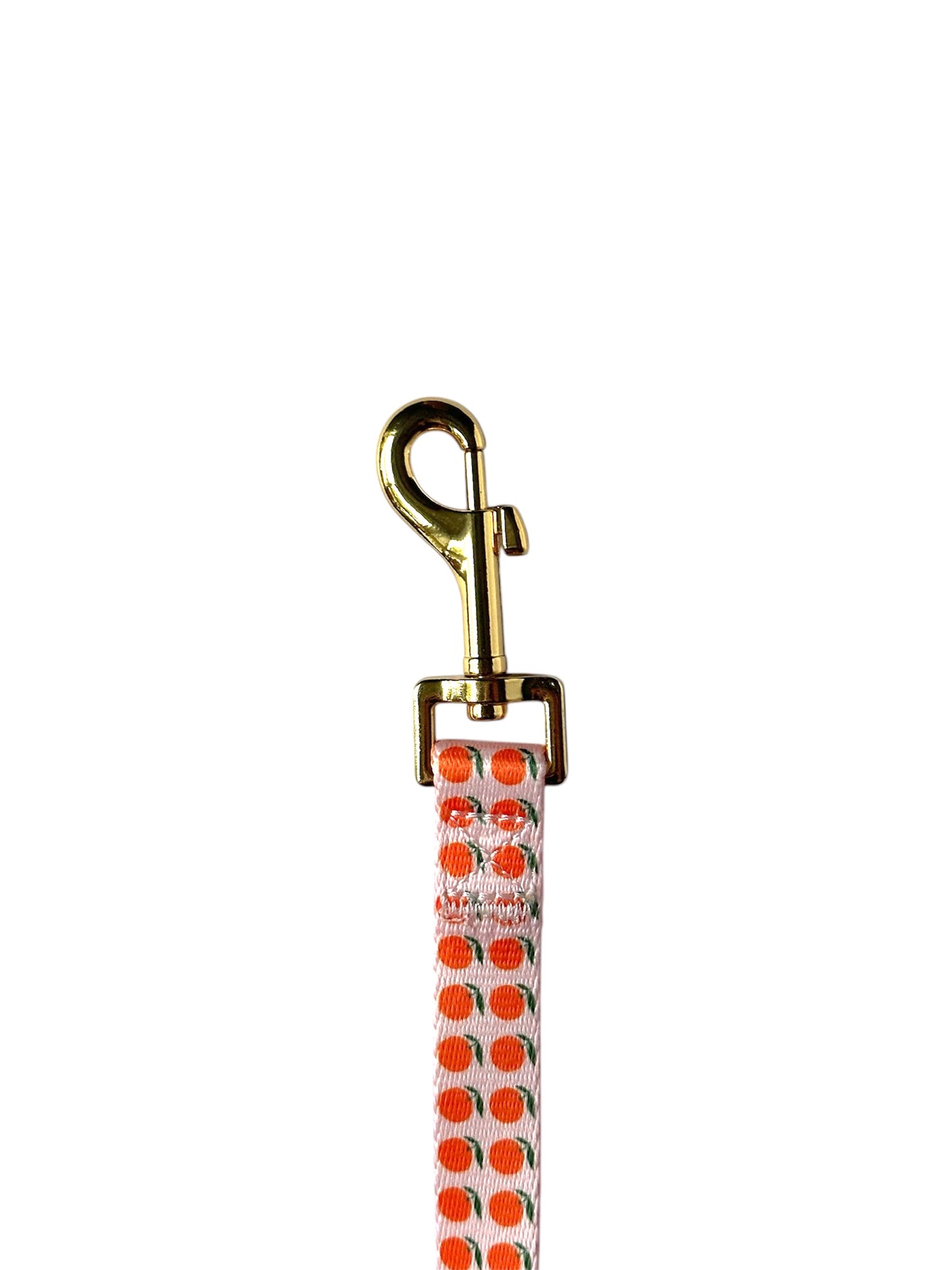 Gold metal clasp of the Orange Citrus dog leash – sturdy and secure connection