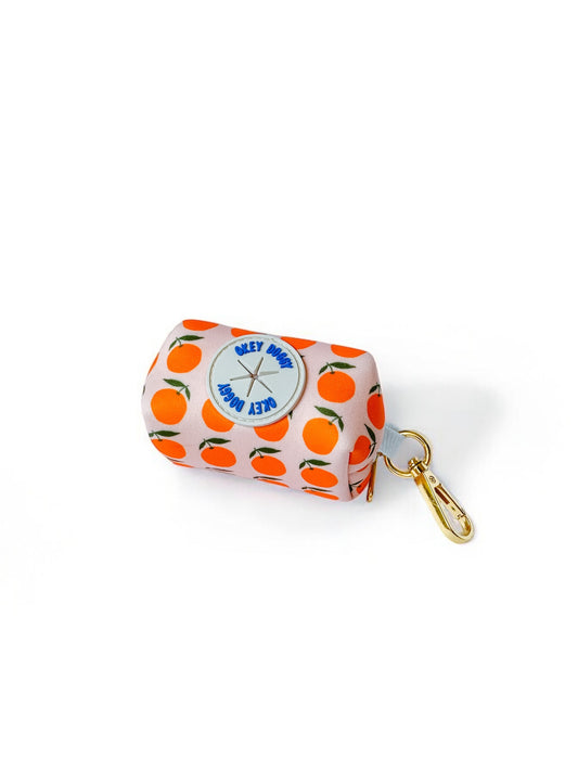 Citrus print waste bag holder attached to matching dog leash – stylish and practical dog walking accessory