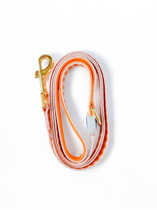 Folded orange citrus dog leash with vibrant orange pattern – durable and stylish