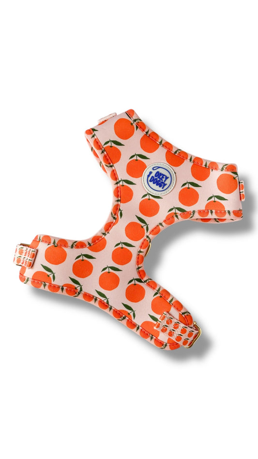 Orange Citrus Dog Harness