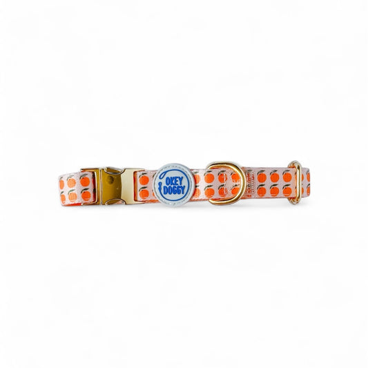 Orange Citrus Print Dog Collar - Stylish Adjustable Dog Collar in Canada